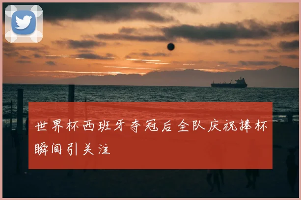 世界杯西班牙夺冠后全队庆祝捧杯瞬间引关注