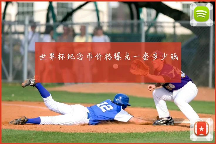 世界杯纪念币价格曝光一套多少钱